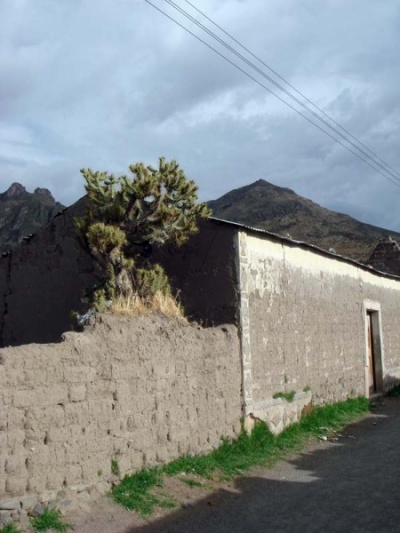 улочки Чивая улочки Чивая