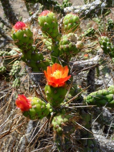 красота! :) красота! :)