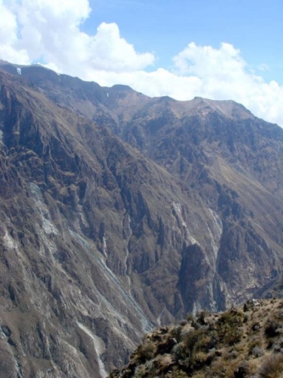 в ожидании кондоров, что так и не появились... в ожидании кондоров, что так и не появились...