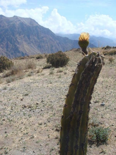 колкинский пейзаж колкинский пейзаж