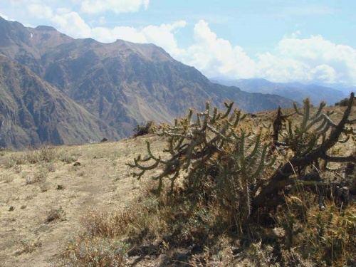 еще один пейзажик еще один пейзажик