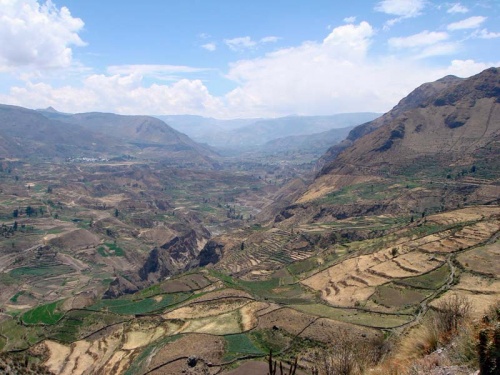 виды по дороге домой виды по дороге домой