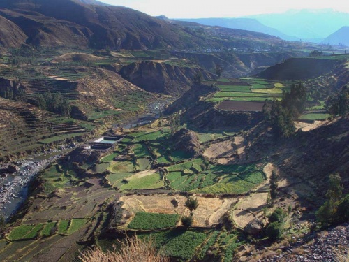 высокогорные поля высокогорные поля