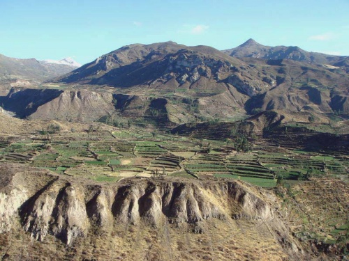 снова высокогорные поля снова высокогорные поля