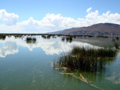 Титикака в начале пути - довольно заросшая тростником Титикака в начале пути - довольно заросшая тростником