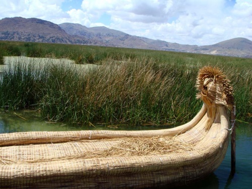 из этого тростника индейцы делают такие лодки из этого тростника индейцы делают такие лодки