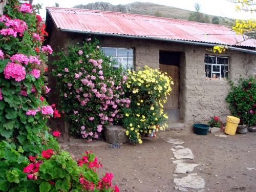 в этом домике на острове я провела ночь в семье перуанской крестьянки и ее детей в этом домике на острове я провела ночь в семье перуанской крестьянки и ее детей