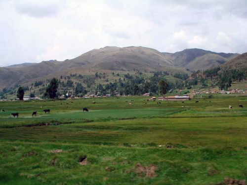 ...и пастбища ...и пастбища