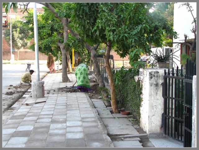 Chandigarh street