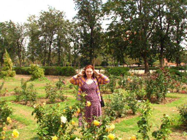 Rose garden