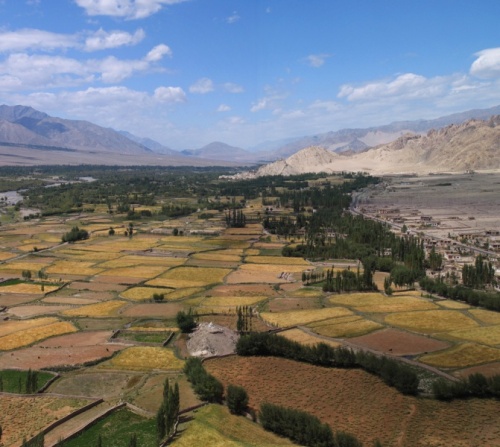   Thiksey gompa.  badguest.