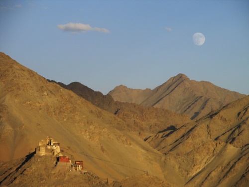 . Namgyal Tsemo Gompa.  badguest.