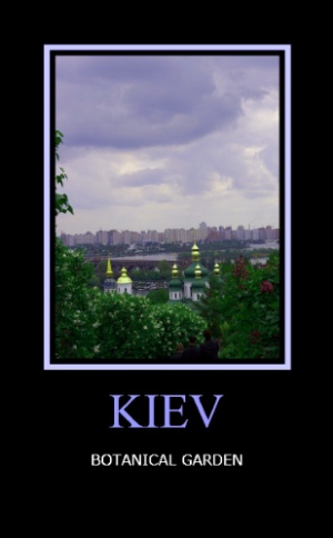 Фото 5 Фото 5