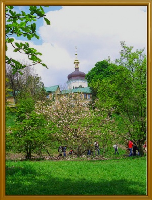 Фото 7 Фото 7