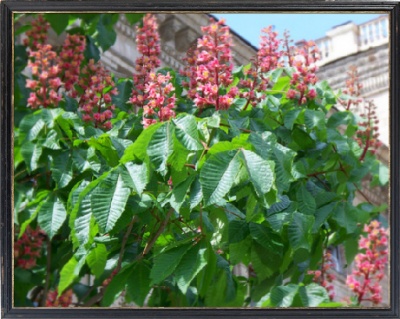 Фото 8 Фото 8