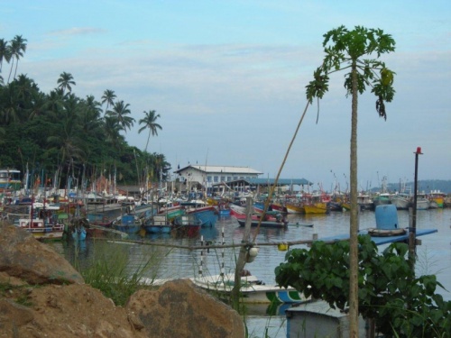 рыбный порт рыбный порт