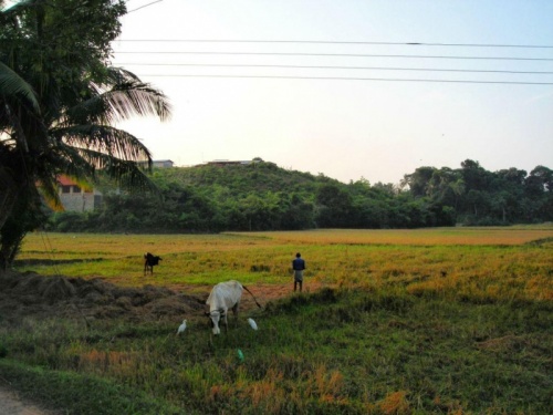 деревня деревня
