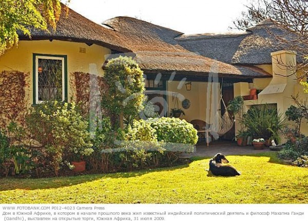 Фото 1 Фото 1