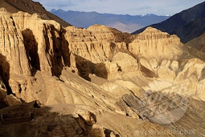 с разных фотостоков с разных фотостоков