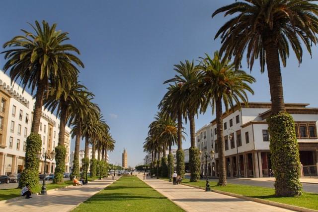 Фото 8 Фото 8