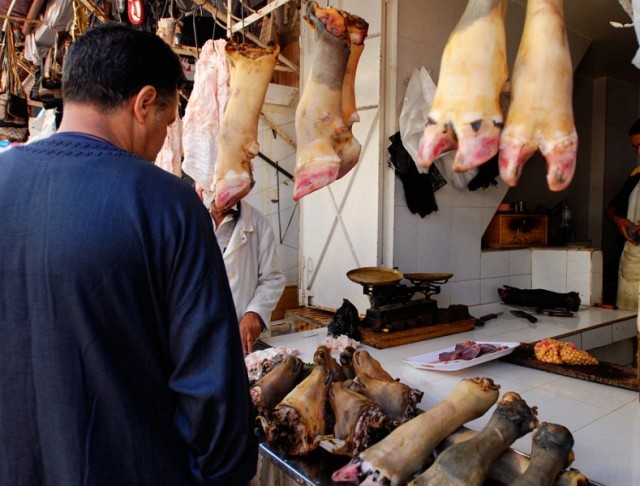 Фото 13 Фото 13