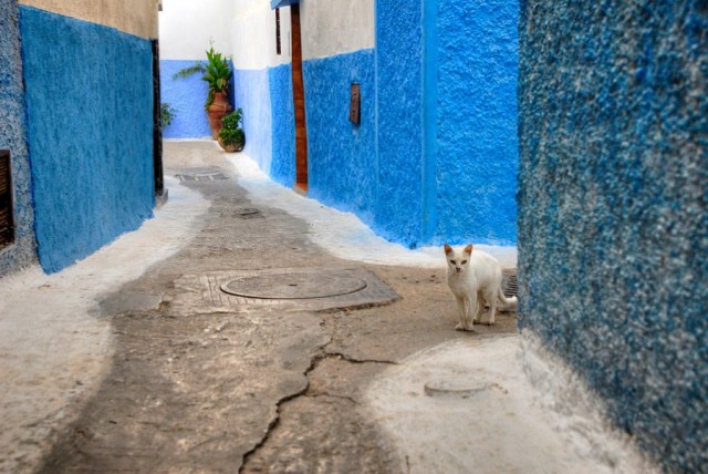 Фото 7 Фото 7