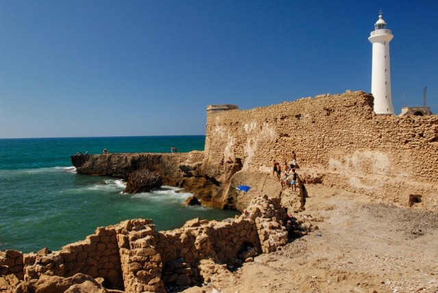 Фото 10 Фото 10