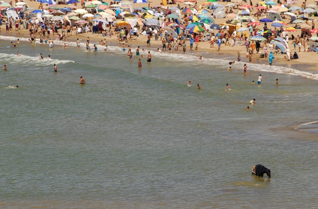 Фото 7 Фото 7