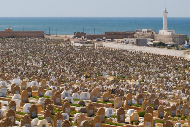 Фото 8 Фото 8