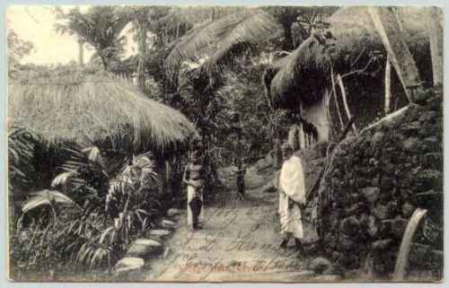 Ceylon postcard