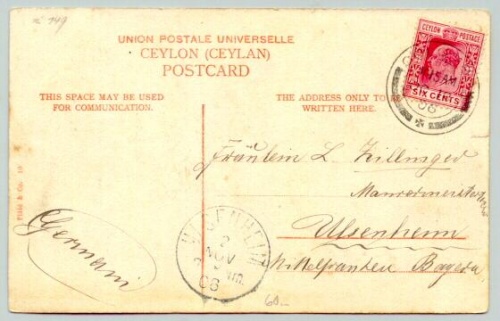 Ceylon postcard