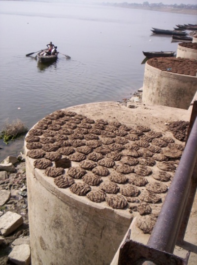 коровьи лепёшки-топливо в Варанаси коровьи лепёшки-топливо в Варанаси