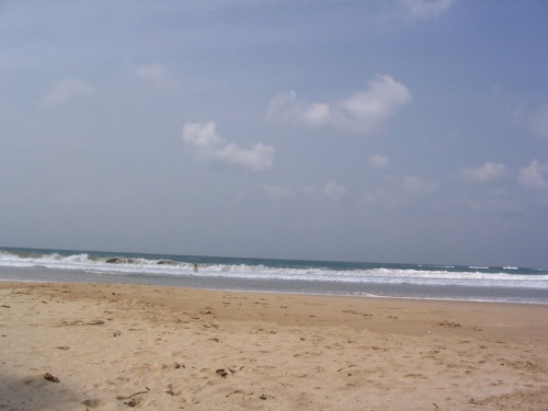 Dickwella (22  2008)