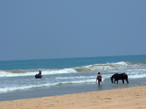 Bentota Beach ( )