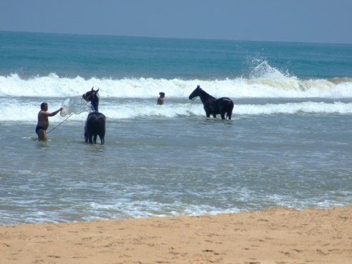 Bentota Beach
