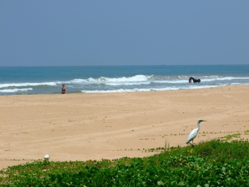 Bentota Beach
