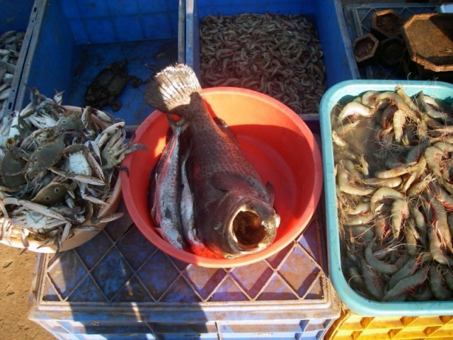 рыбный рынок
