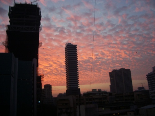 Декабрьское утро Декабрьское утро