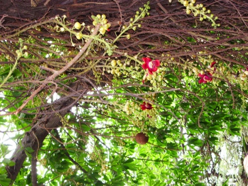 Декабрь... Декабрь...