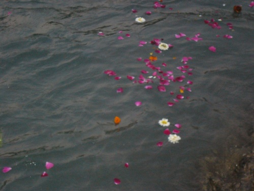 flower offerings to Ganga