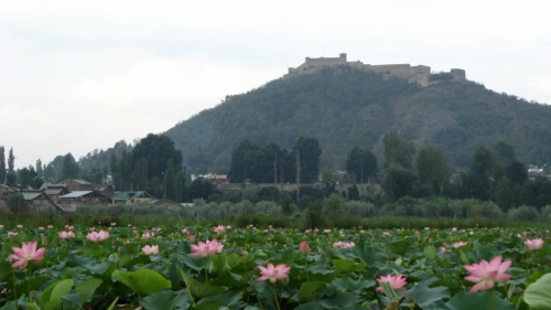    - .    - Hari Parbat Fort.   