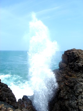   - blow hole