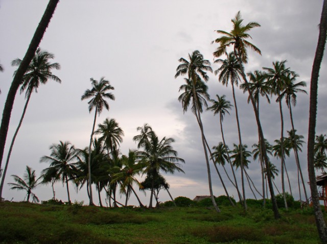  Ganesh Garden