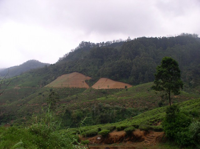  Nuwara Eliya   Ella