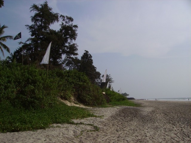 Ashwem  2006.   ,  ,   