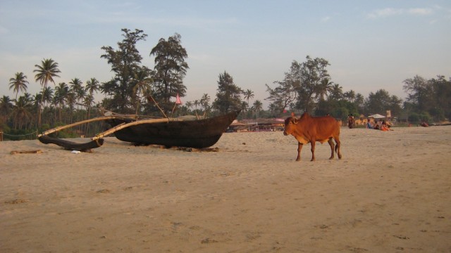 Арамболь Арамболь