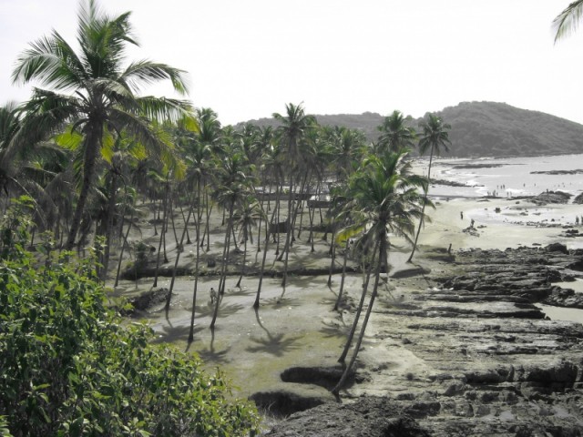 Вагатор Вагатор