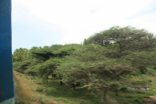 Фото 10 Фото 10