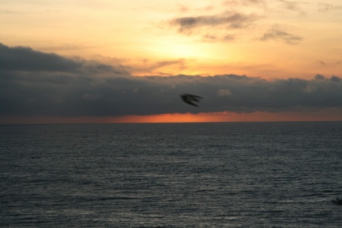 Фото 14 Фото 14