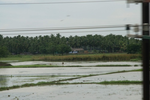 Фото 4 Фото 4